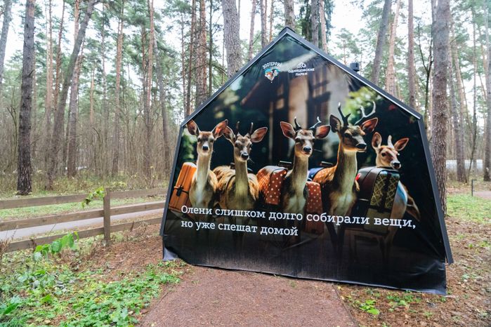 Осенний парк "Раздолье" в Одинцовском округе