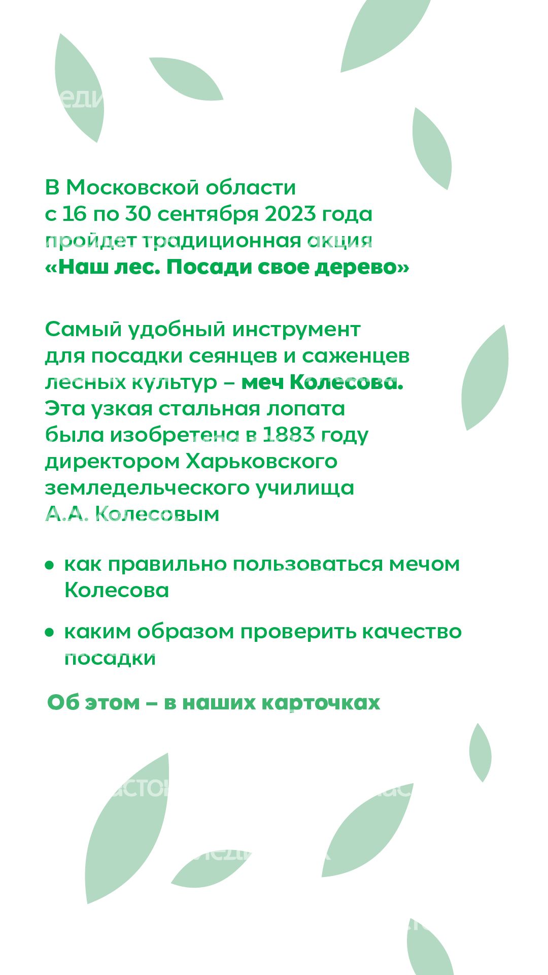 Вертикаль_ меч Колесова_02-100.jpg