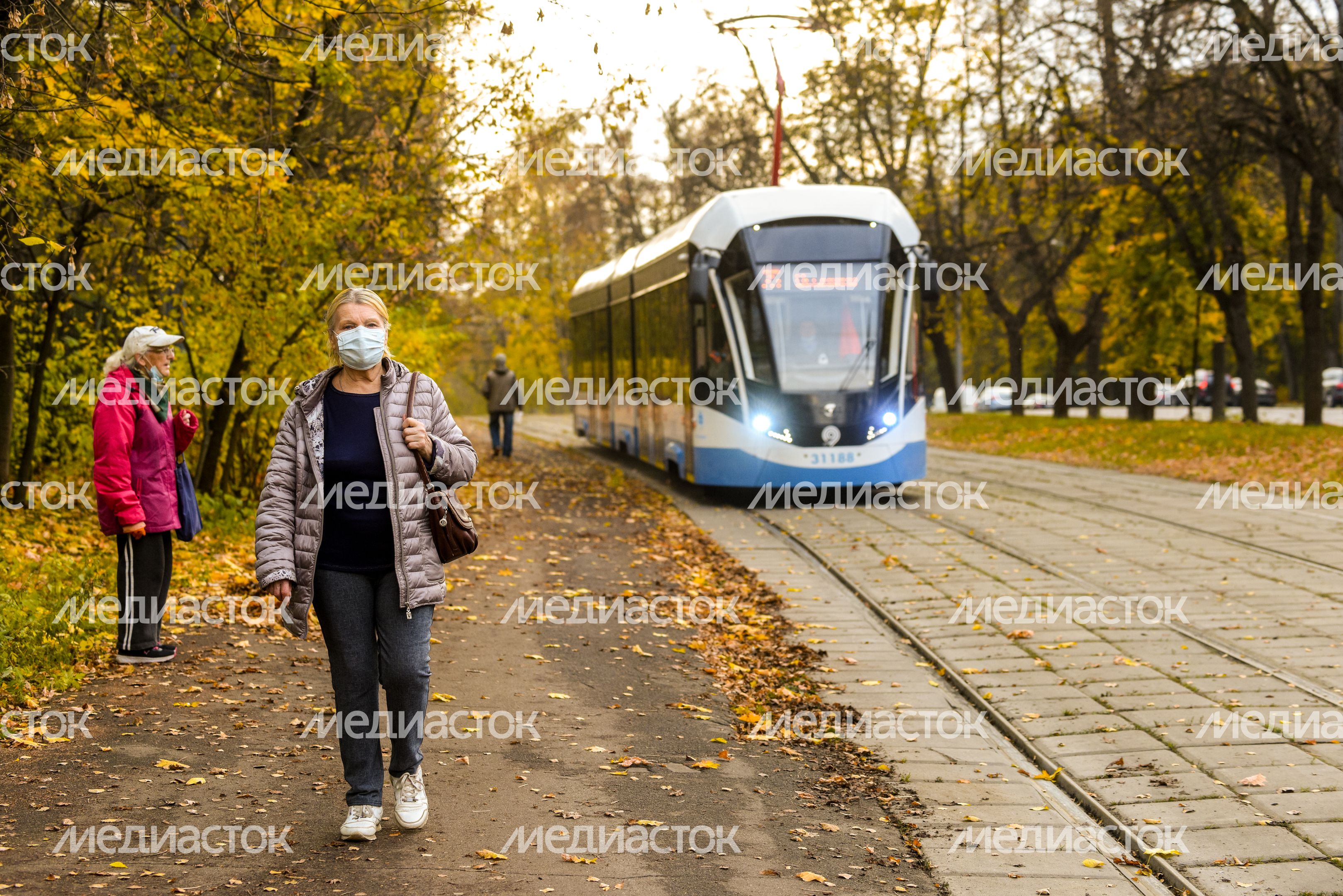 Золотая осень в парке «Сокольники»