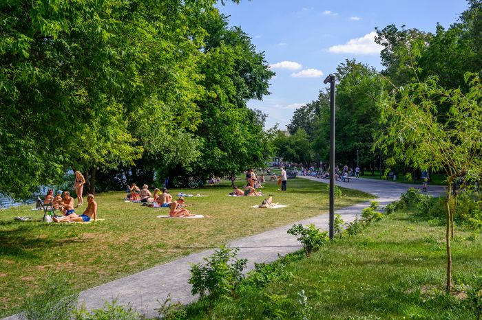 Лето в Наташинском парке Люберец