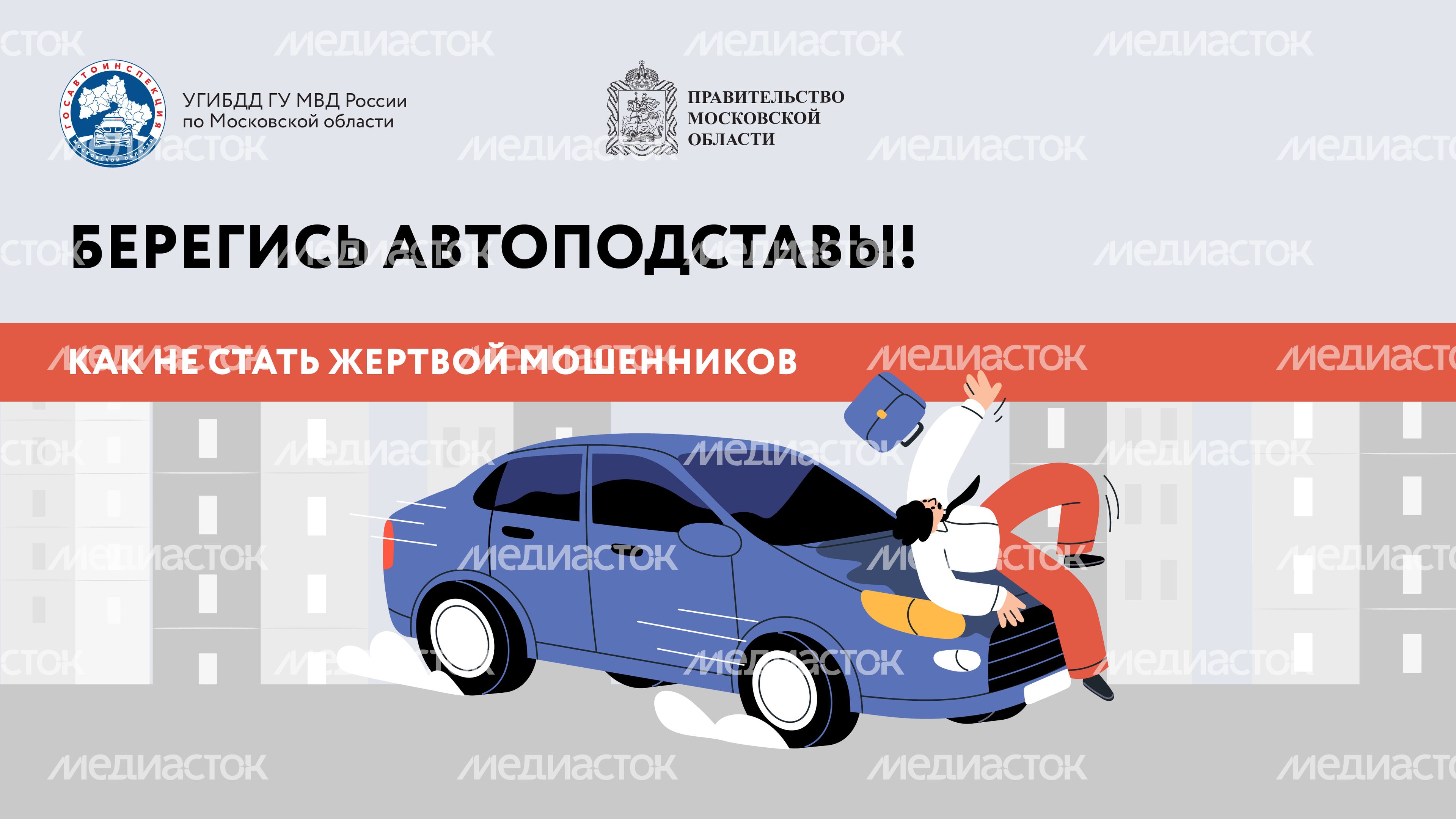 Берегись автоподставы-2024_Горизонталь-01