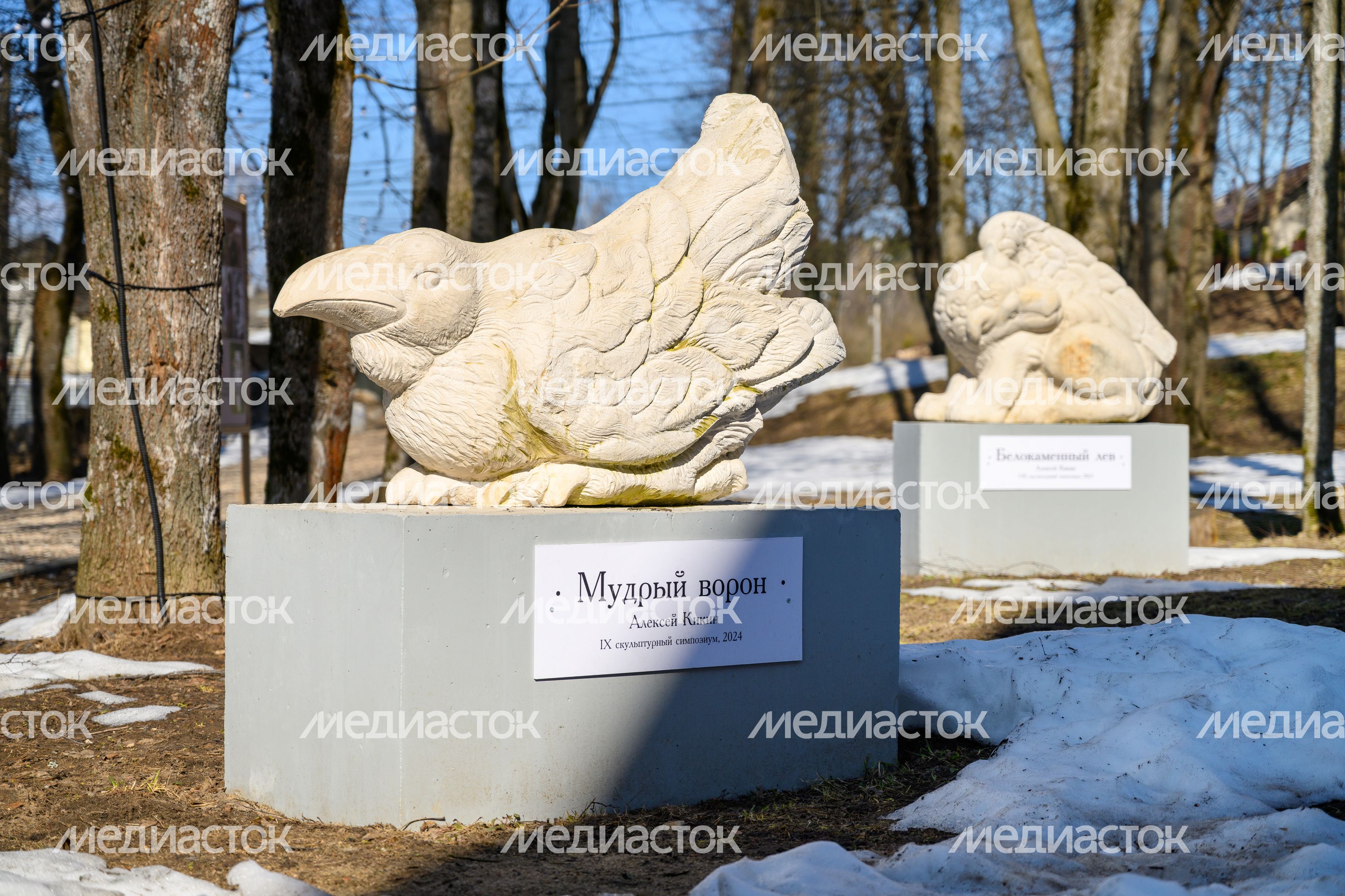 Скульптура «Мудрый ворон» Алексея Кикина украсила аллею к Дому культуры поселка Лоза Сергиево-Посадского округа Скульптура «Мудрый ворон» Алексея Кикина украсила аллею к Дому культуры поселка Лоза Сергиево-Посадского округа