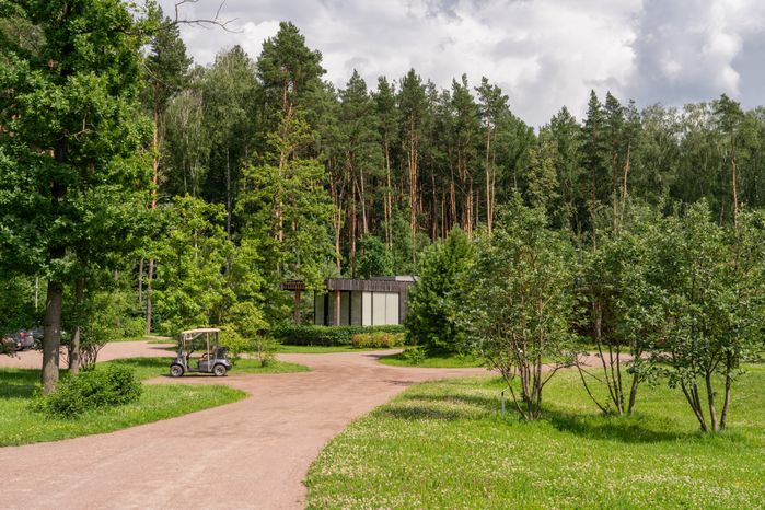 Мещерский парк летом