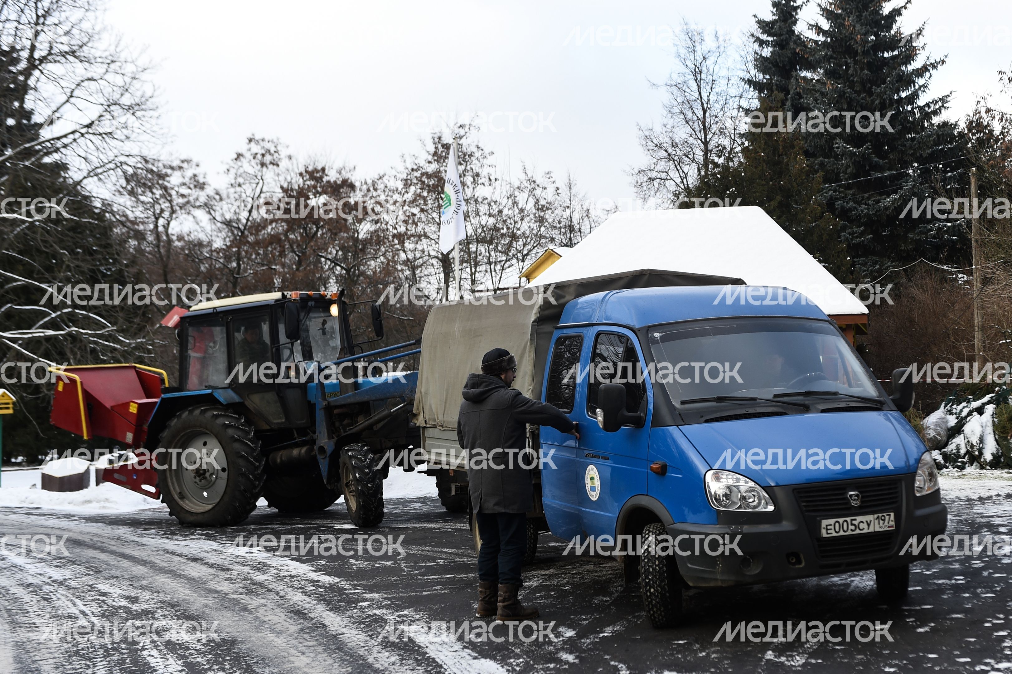 Утилизация елок после Нового года в Москве