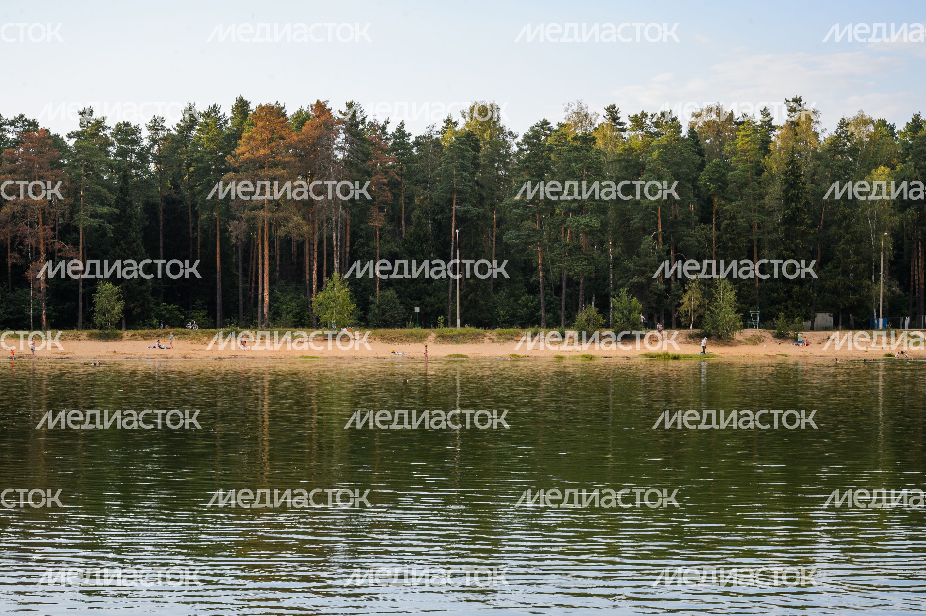 Черноголовка. Озеро Южное Черноголовка. Озеро Южное