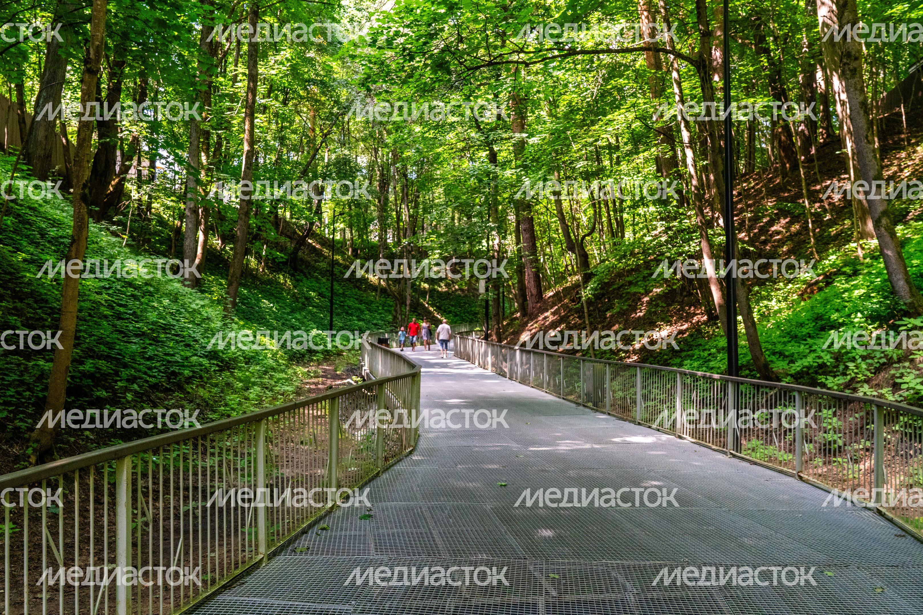 Новая туристическая тропа в Звенигороде – пешеходная зона «Малиновый овраг» Новая туристическая тропа в Звенигороде – пешеходная зона «Малиновый овраг»