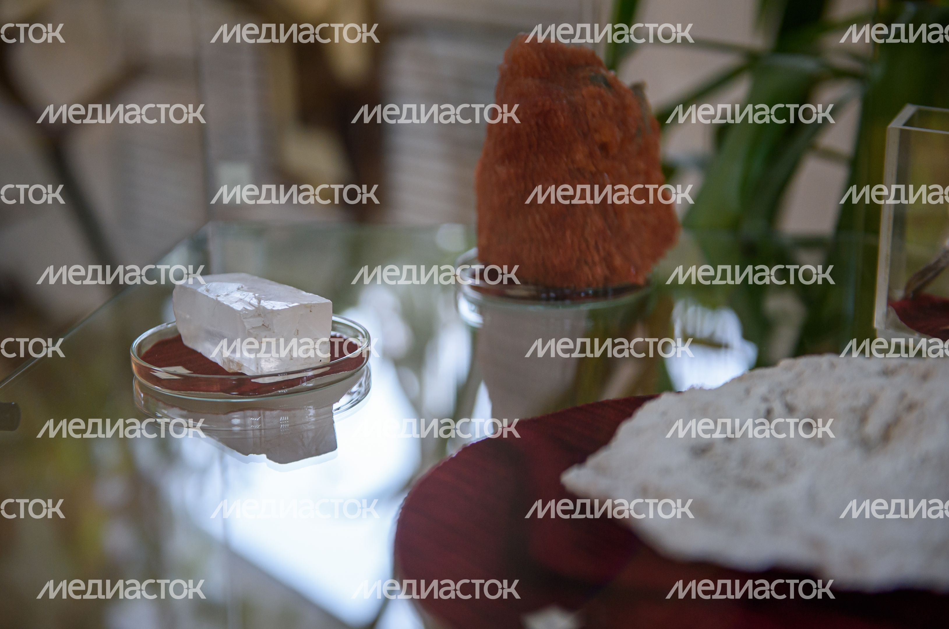 Пущинский музей экологии и краеведения