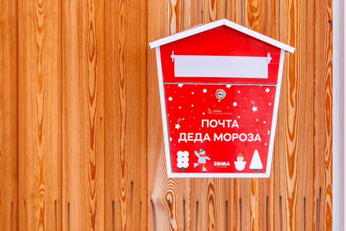 Воскресенск. Усадьба Кривякино. Зима