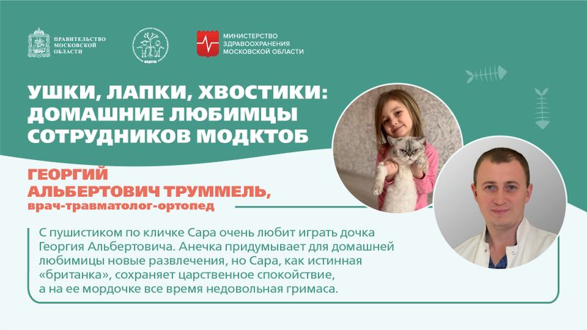 Ушки, лапки, хвостики горизонталь 06