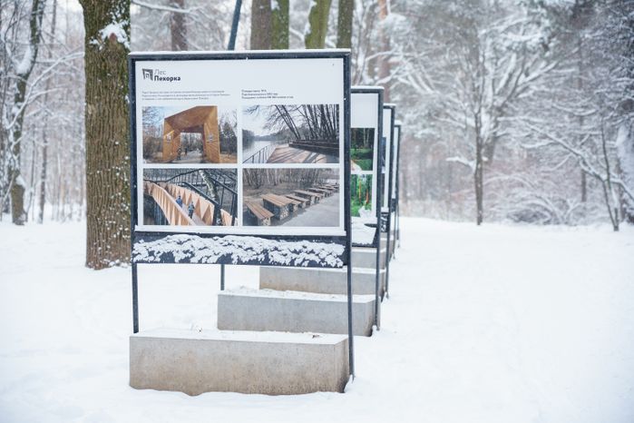 Балашиха. Ольгинский лесопарк. Зима