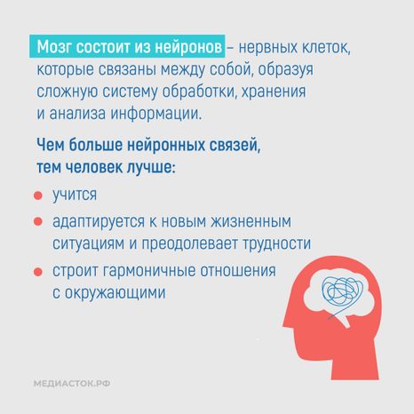 Алкоголь и развитие мозга квадрат 03