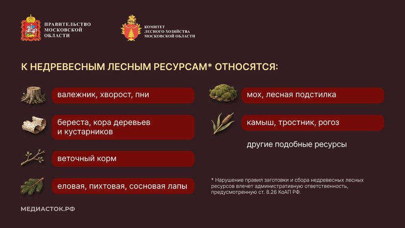 Недревесные ресурсы для собственных нужд Горизонталь 03
