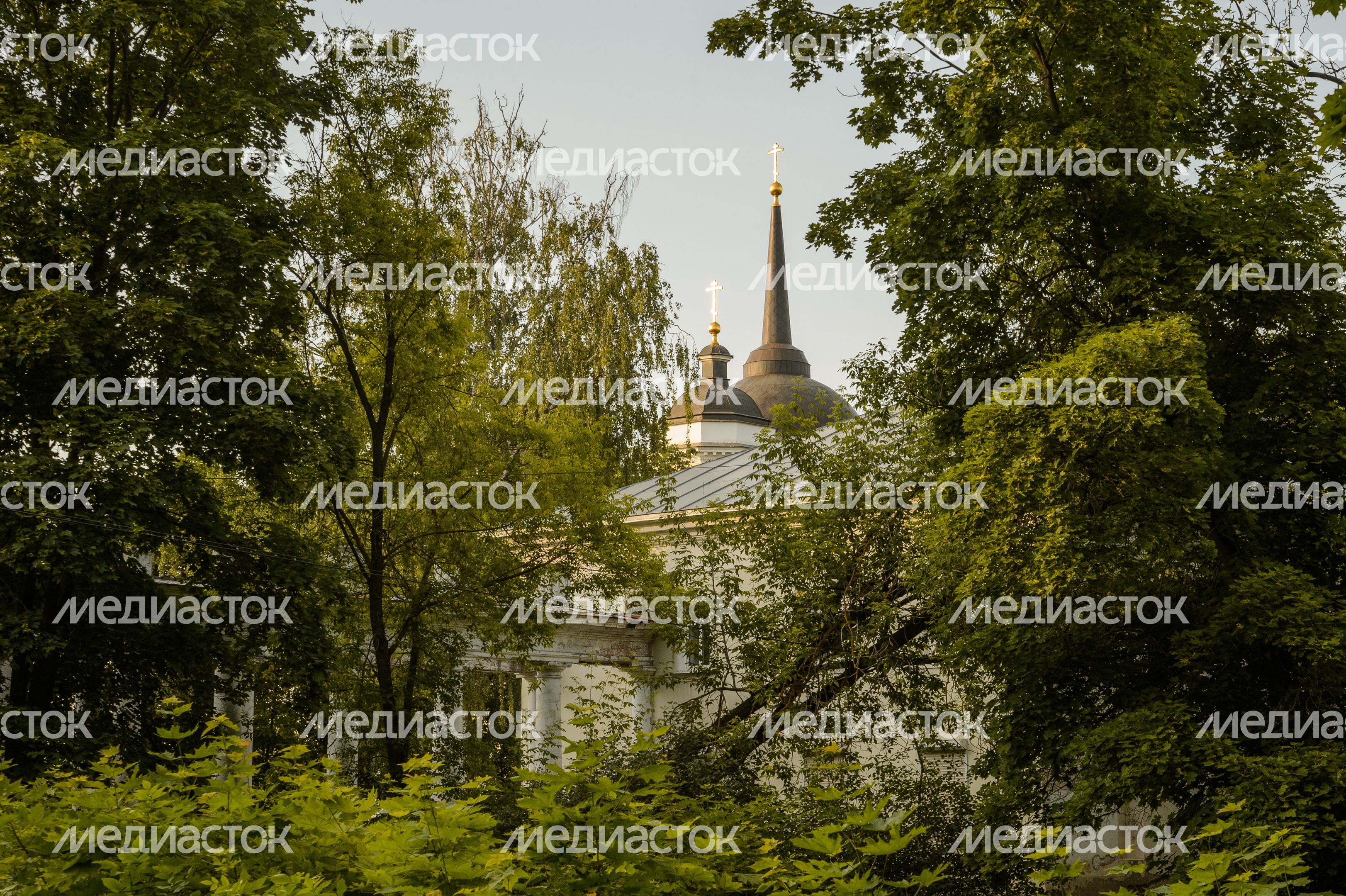 Усадьба Пехра-Яковлевское