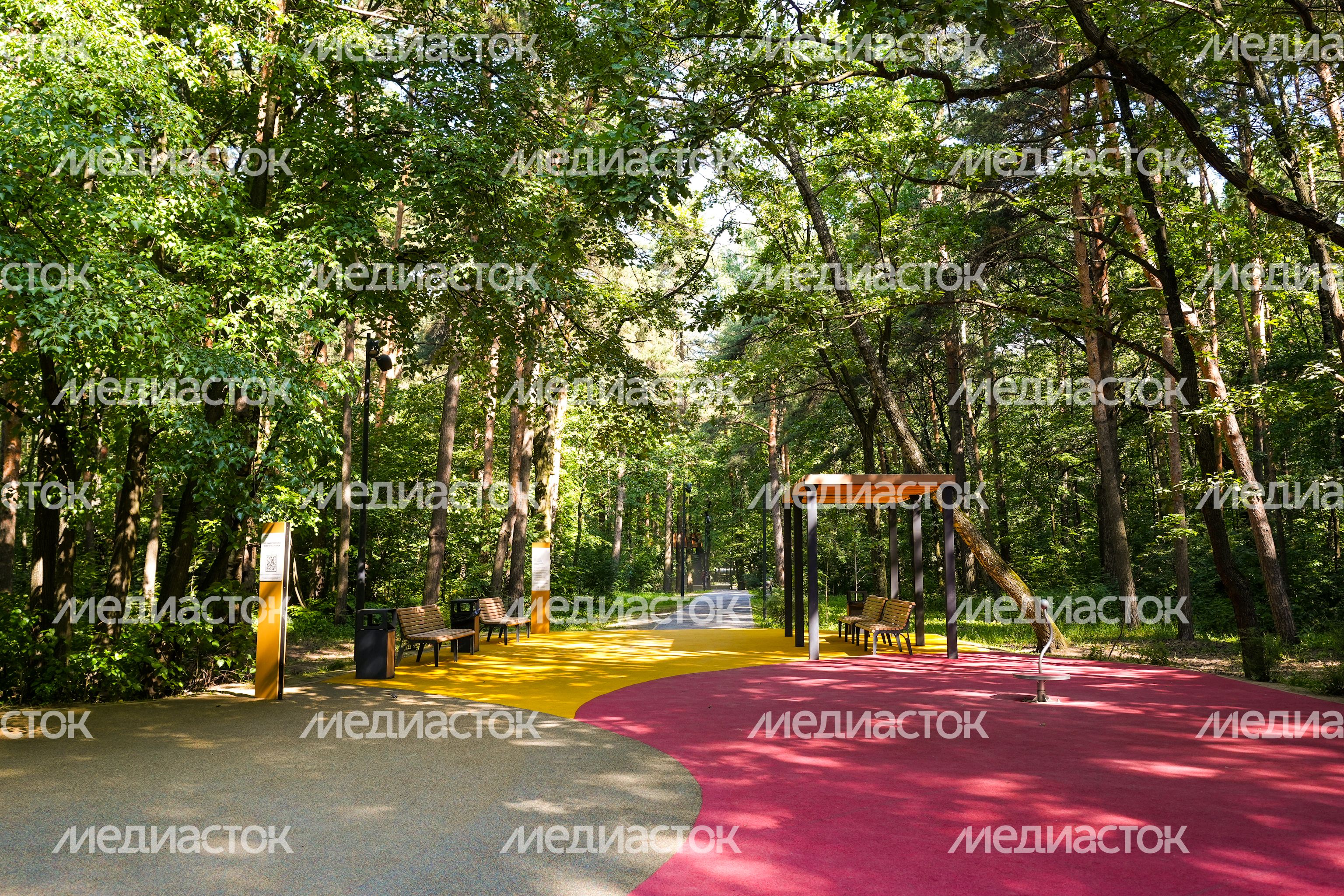 Лесопарк "Чемпион" в Дзержинском