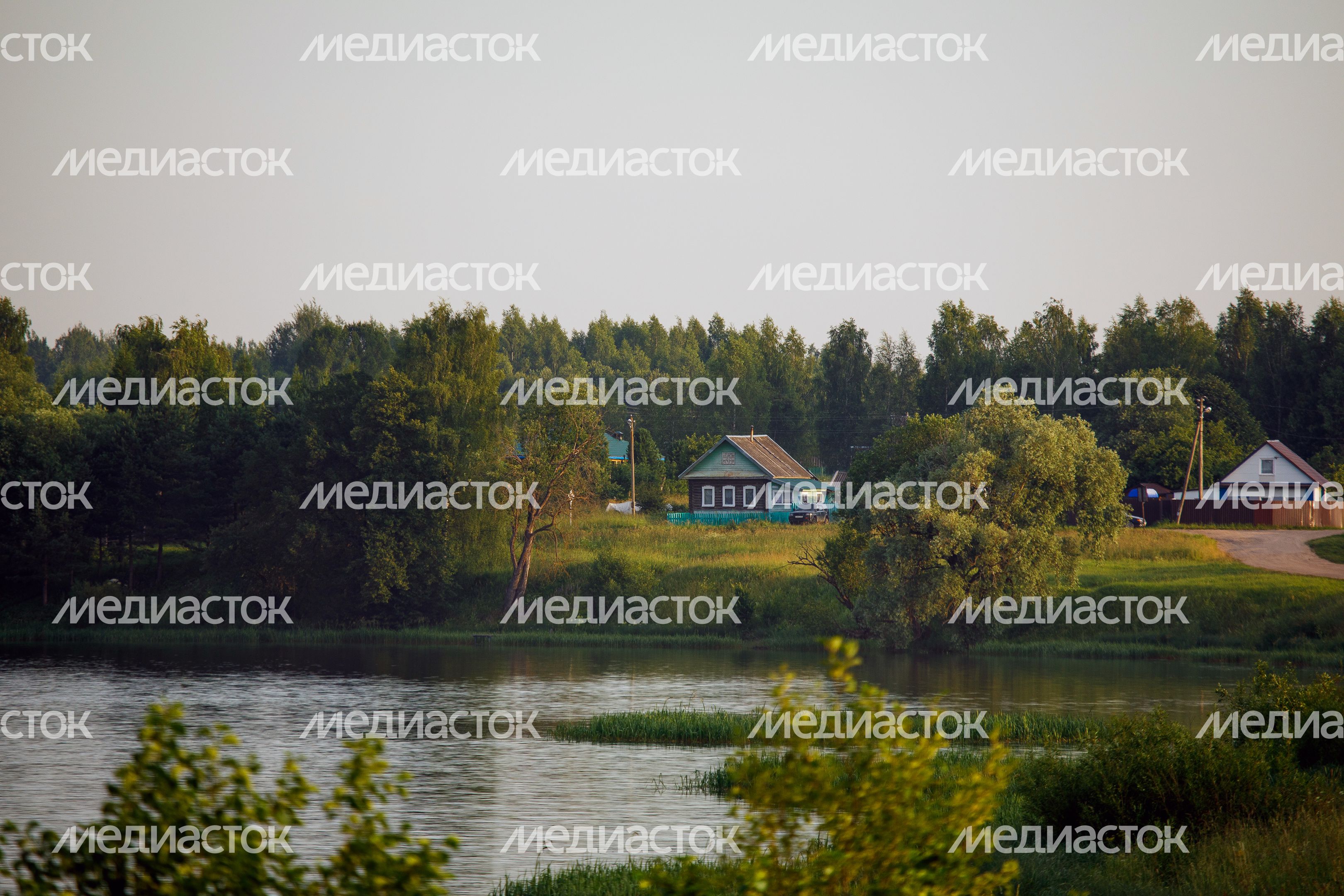 Отдых на природе в Подмосковье Отдых на природе в Подмосковье