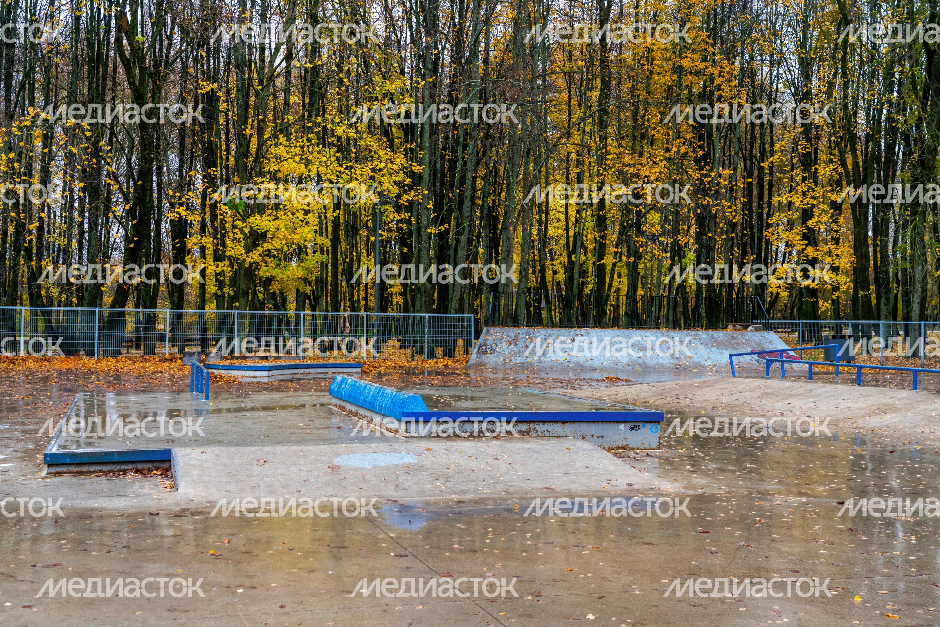 Городской парк культуры и отдыха Солнечногорска осенью Городской парк культуры и отдыха Солнечногорска осенью
