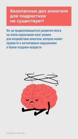Алкоголь и развитие мозга вертикаль 09