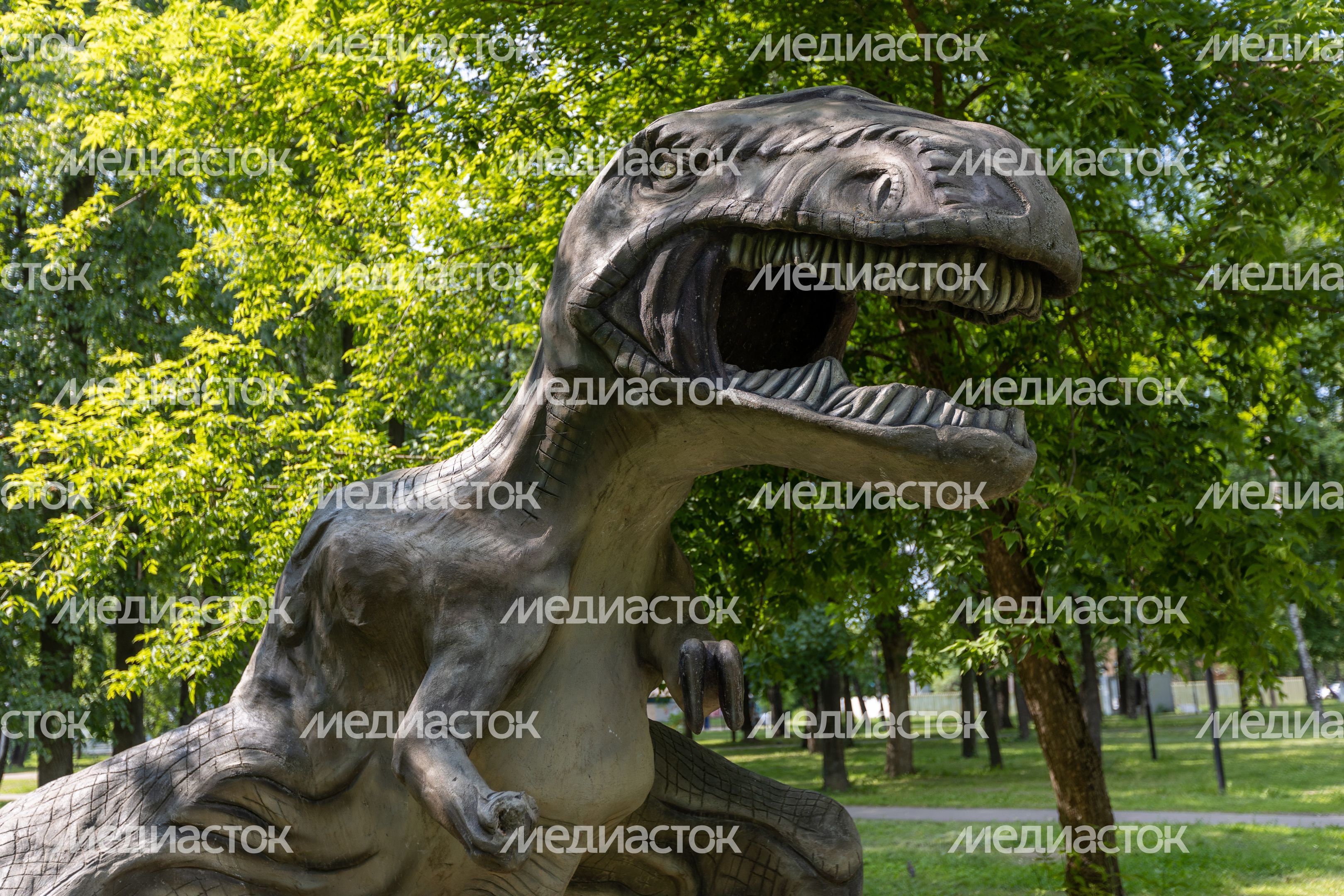 Серпухов. Комсомольский парк