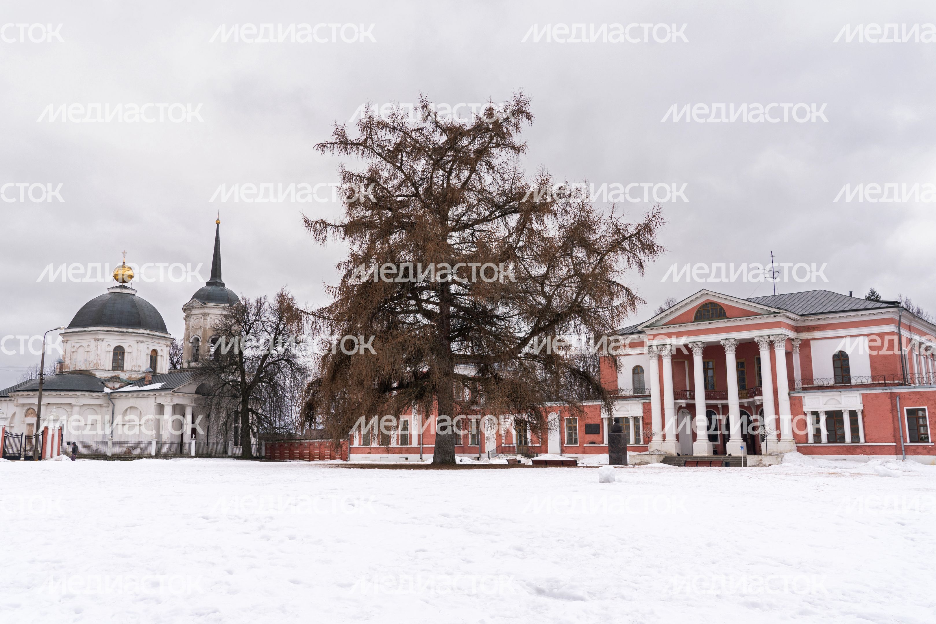 Усадьба Гончаровых