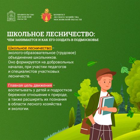 Квадрат_Школьные лесничестваArtboard 1.jpg
