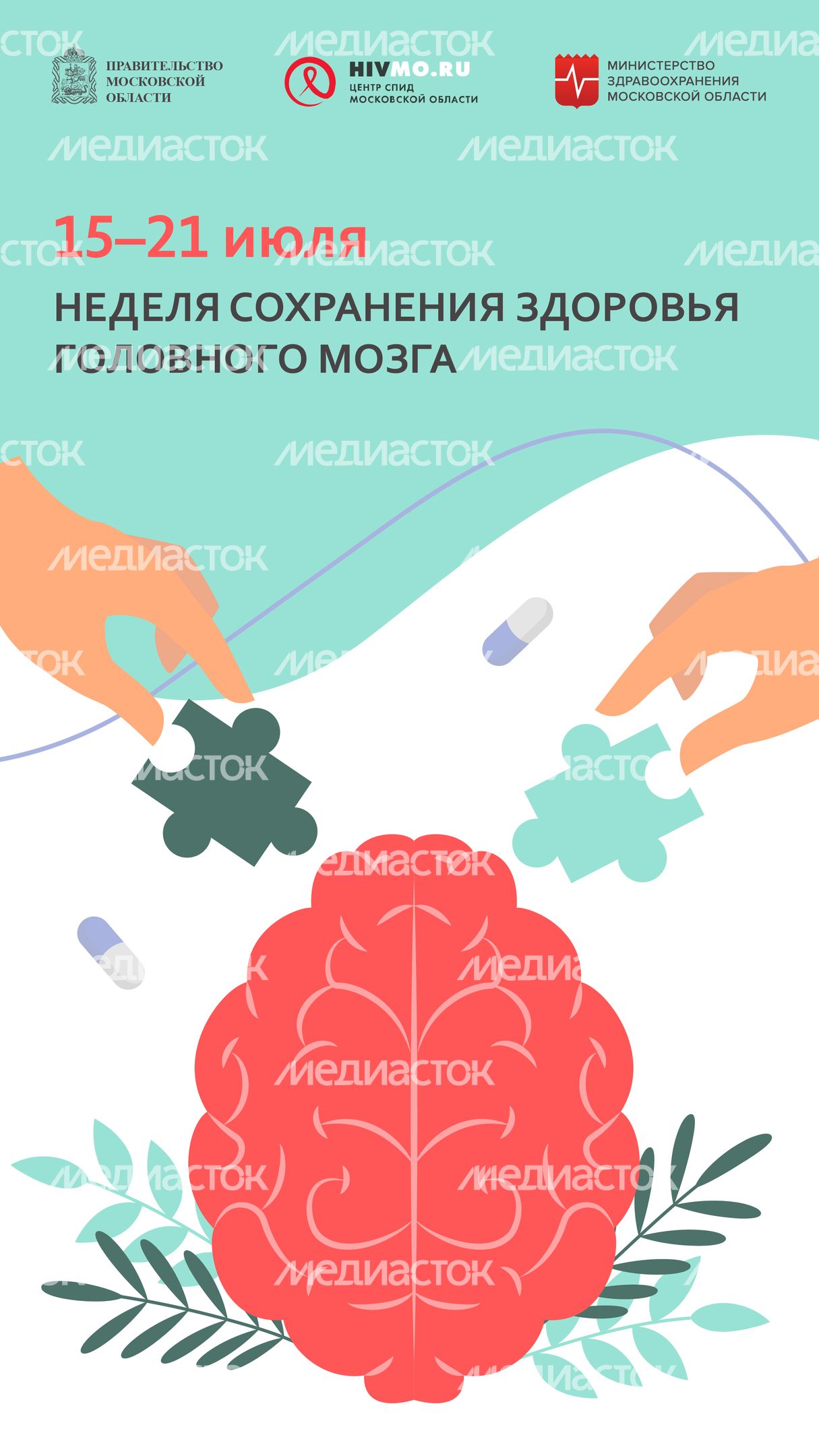 15-21 июля вертикаль 01