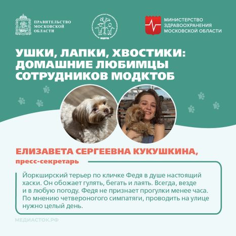 Ушки, лапки, хвостики квадрат 03