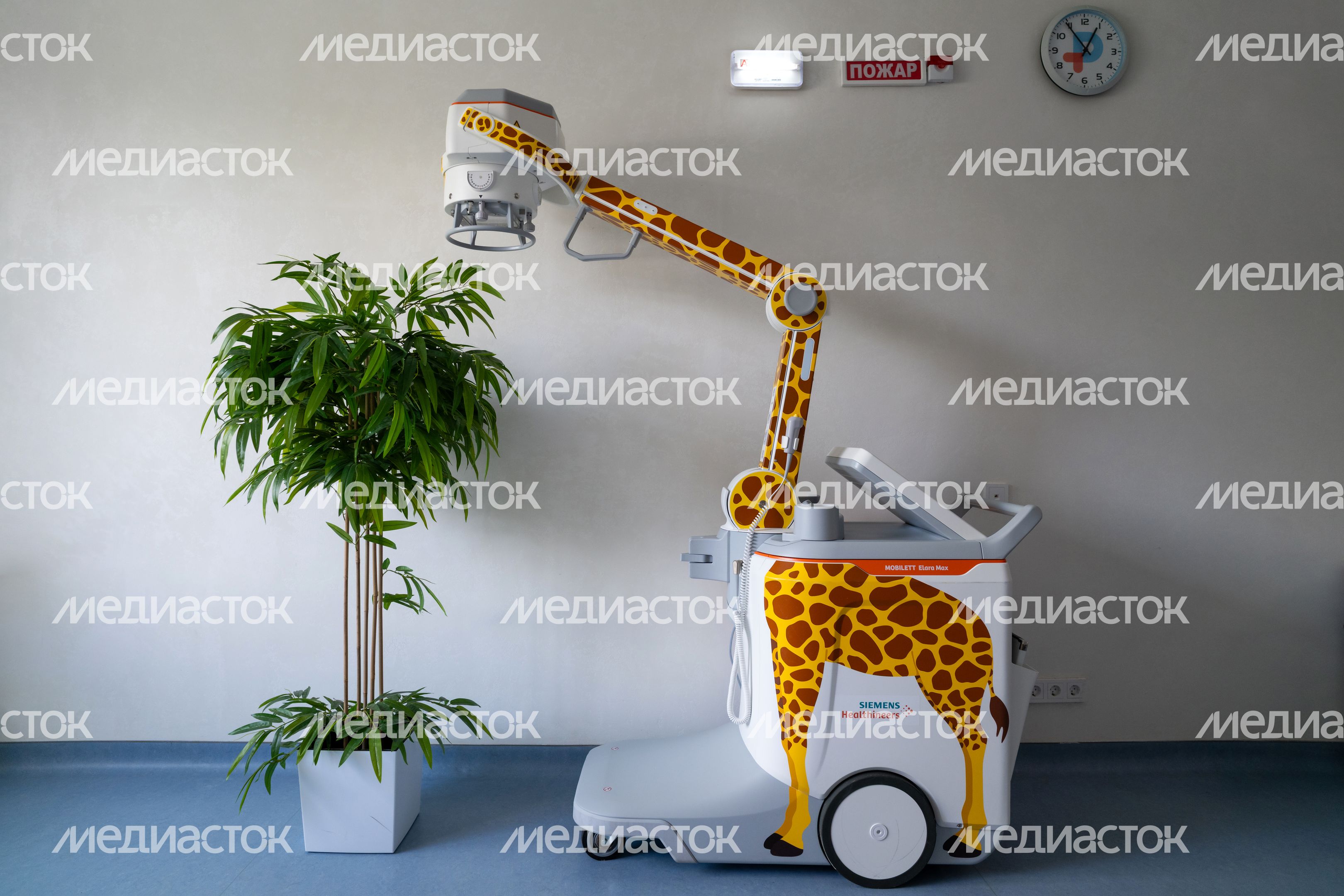 Рентген-аппарат в форме жирафа в Детском клиническом центре им. Л.М. Рошаля в Красногорске Рентген-аппарат в форме жирафа в Детском клиническом центре им. Л.М. Рошаля в Красногорске