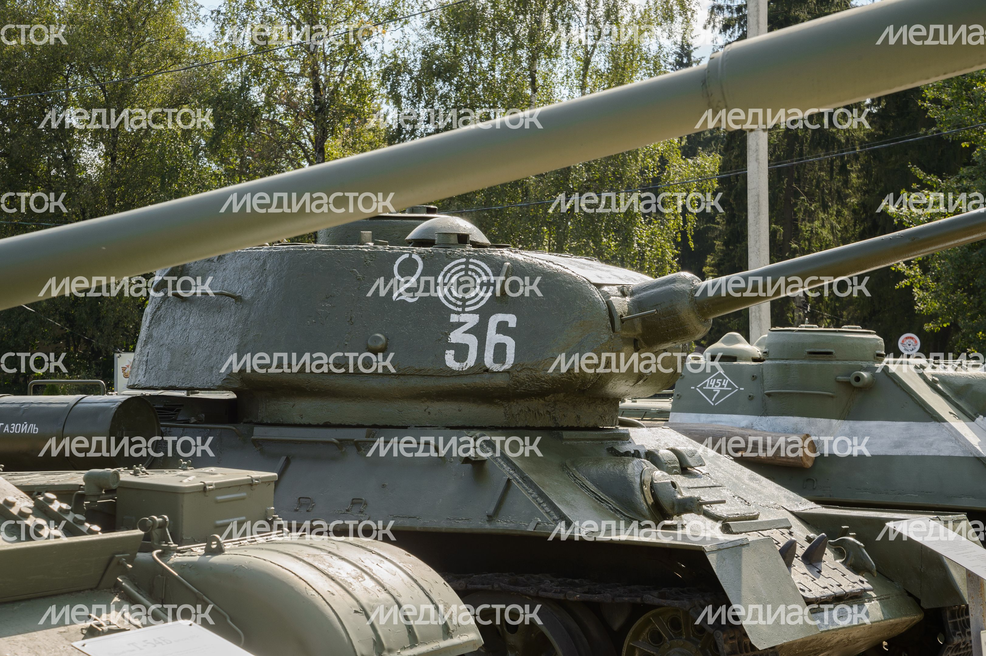Мытищи. Шолохово. Военно-патриотический фестиваль Фронтовая собака Мытищи. Шолохово. Военно-патриотический фестиваль Фронтовая собака