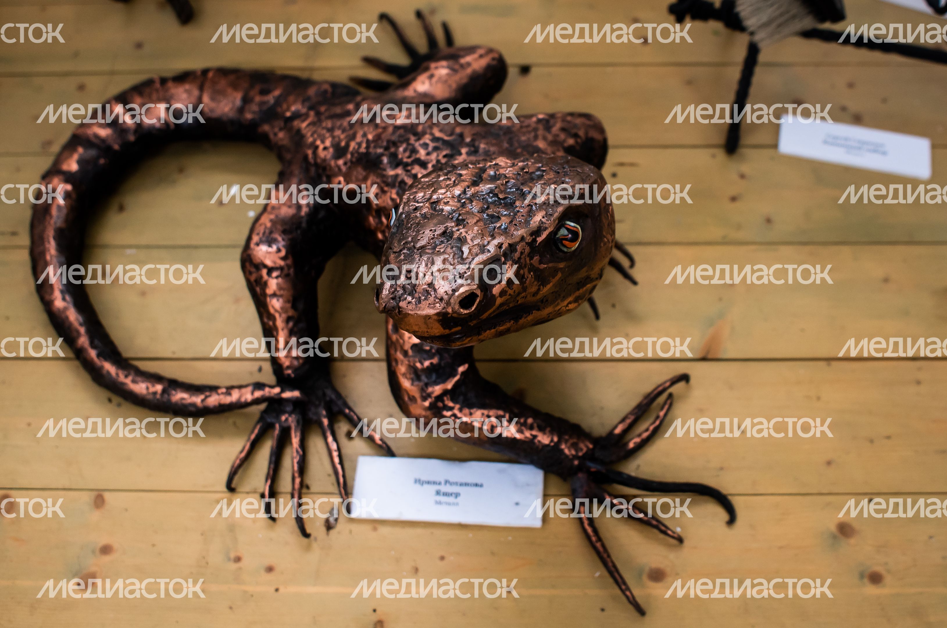 Музей Железное Царство
