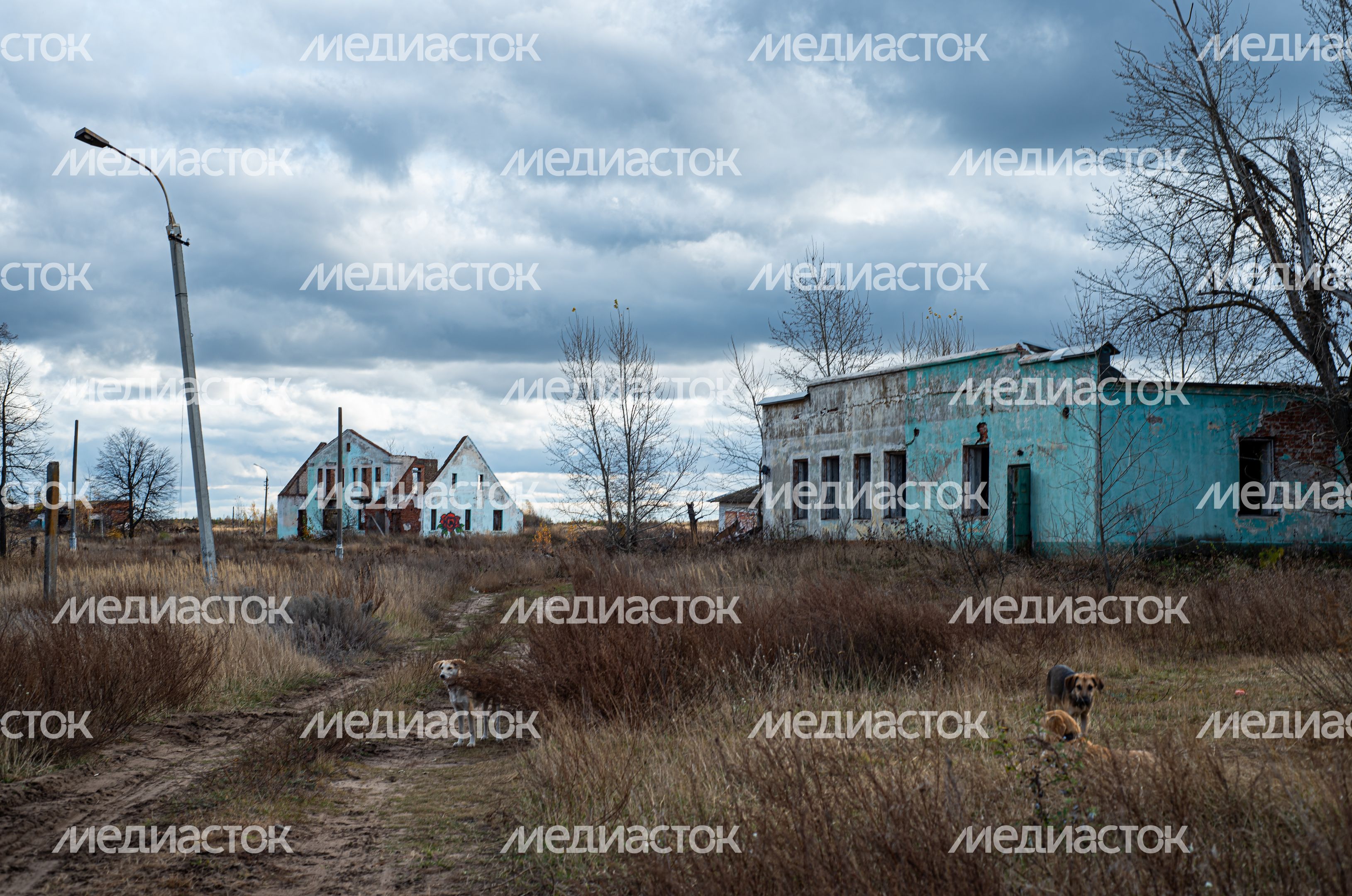 Заброшенная деревня Моховое