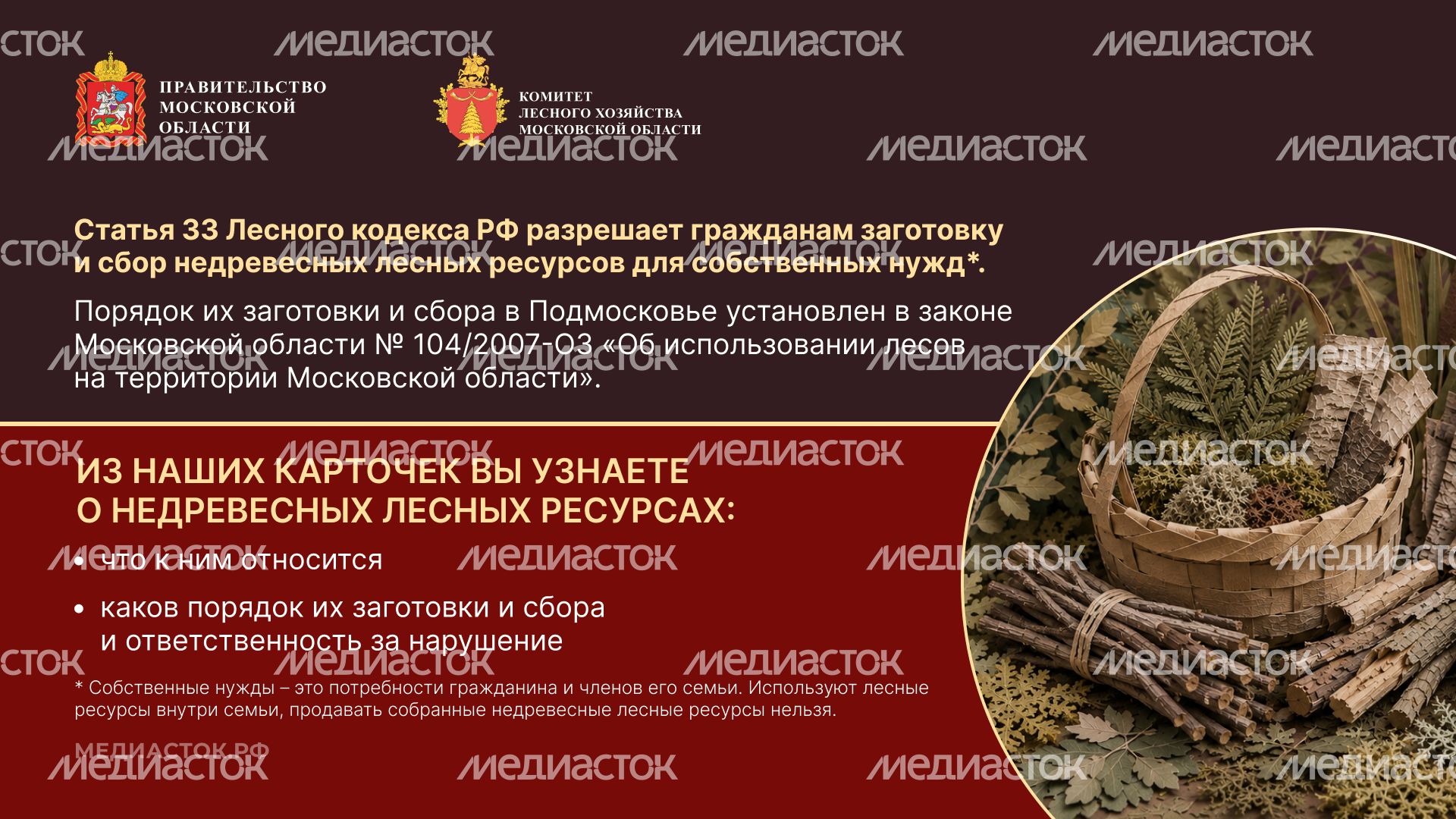 Недревесные ресурсы для собственных нужд Горизонталь 02