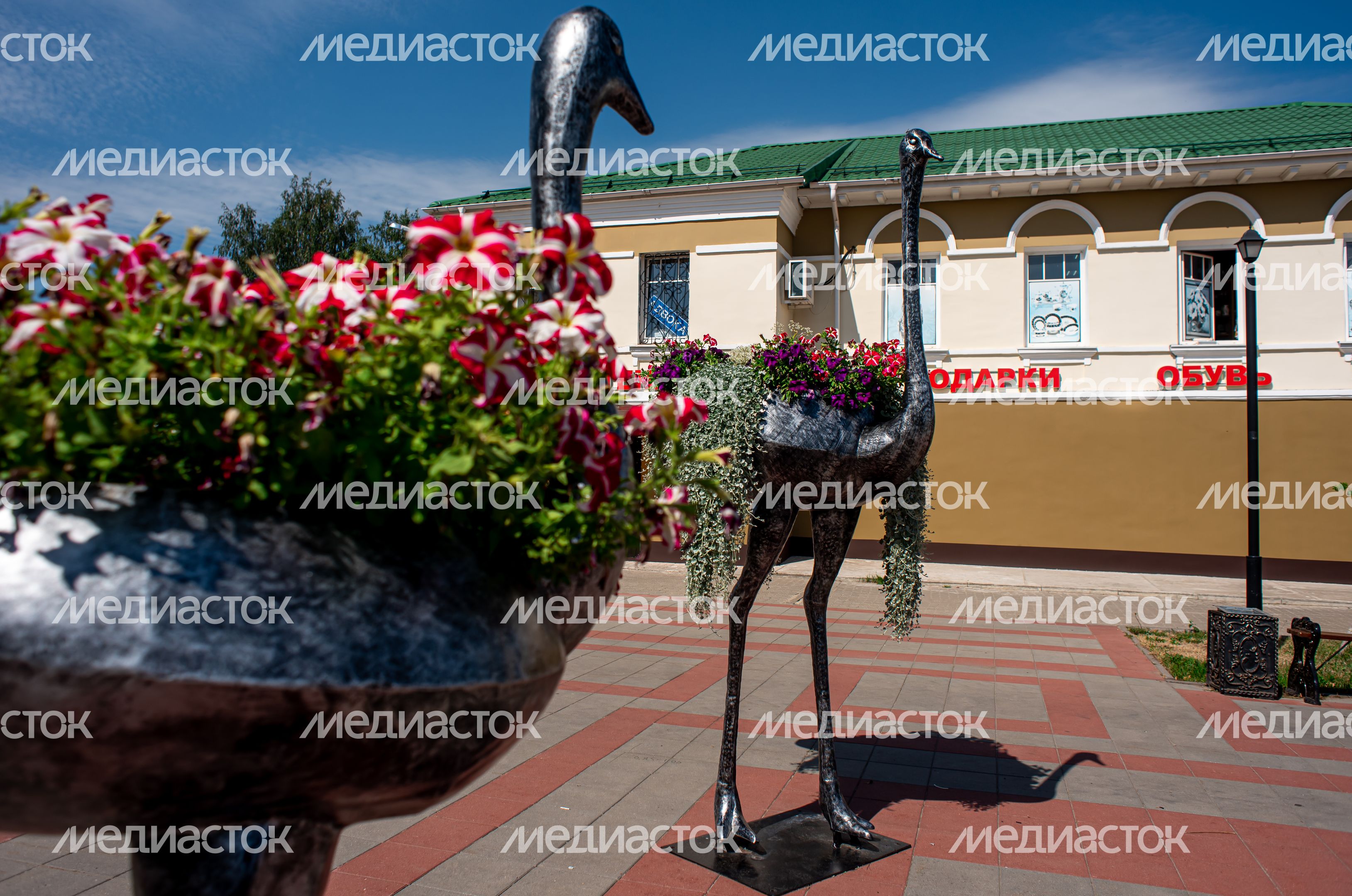 Летние виды города Кашира