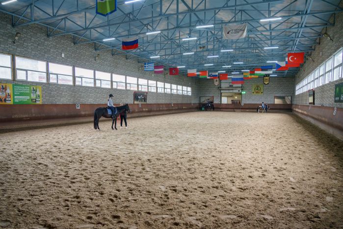 КониШкола «Олимпия» в деревне Орлово Ленинского округа
