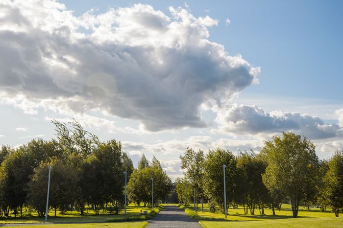 Бронницы. Парк "Бронницкий луг"