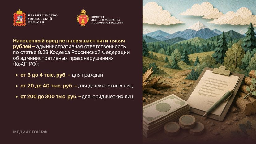 Незаконная рубка горизонталь 03