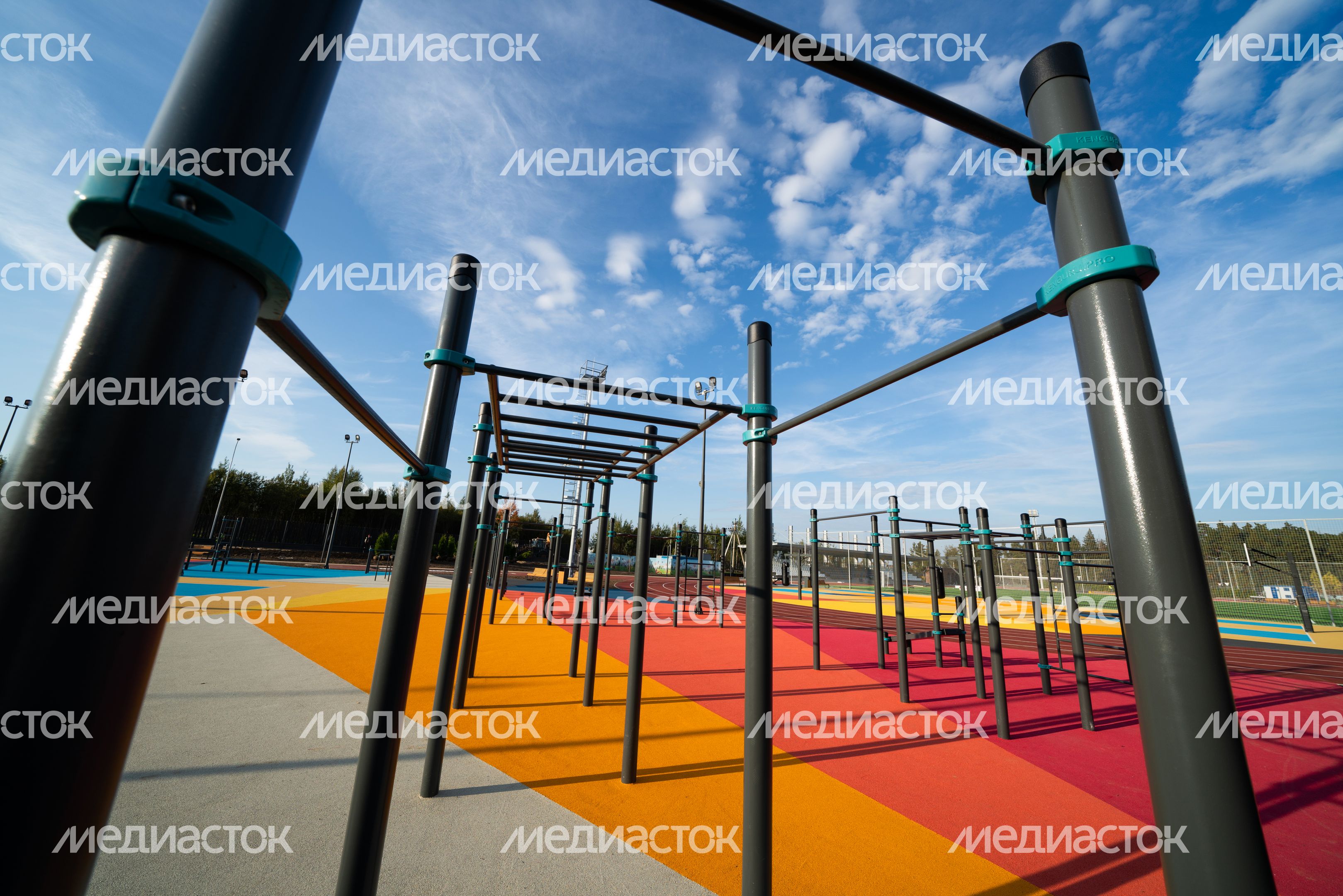 Истра. Областной технолицей им. В.И. Долгих