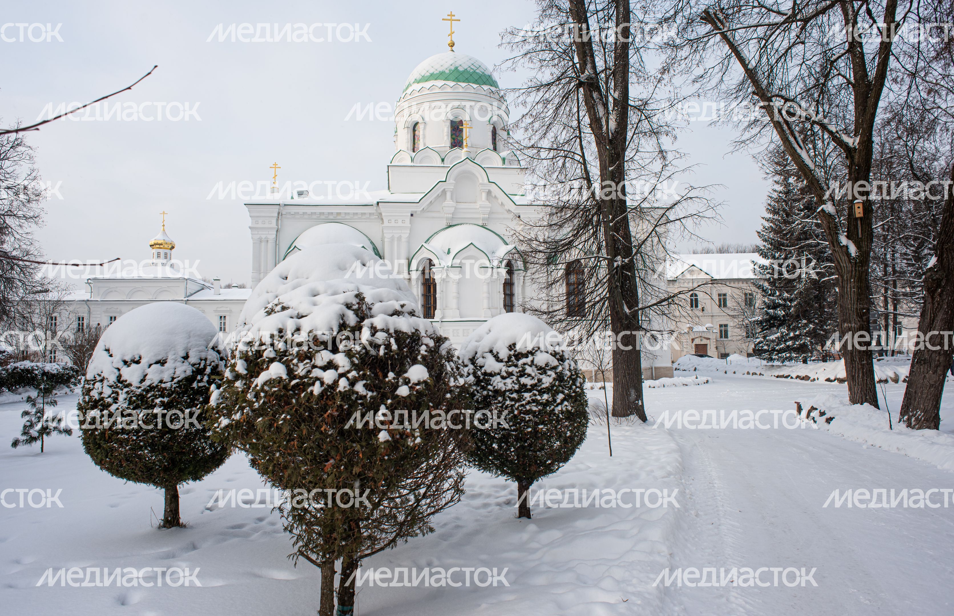 Зимние виды Николо-Берлюковской пустыни