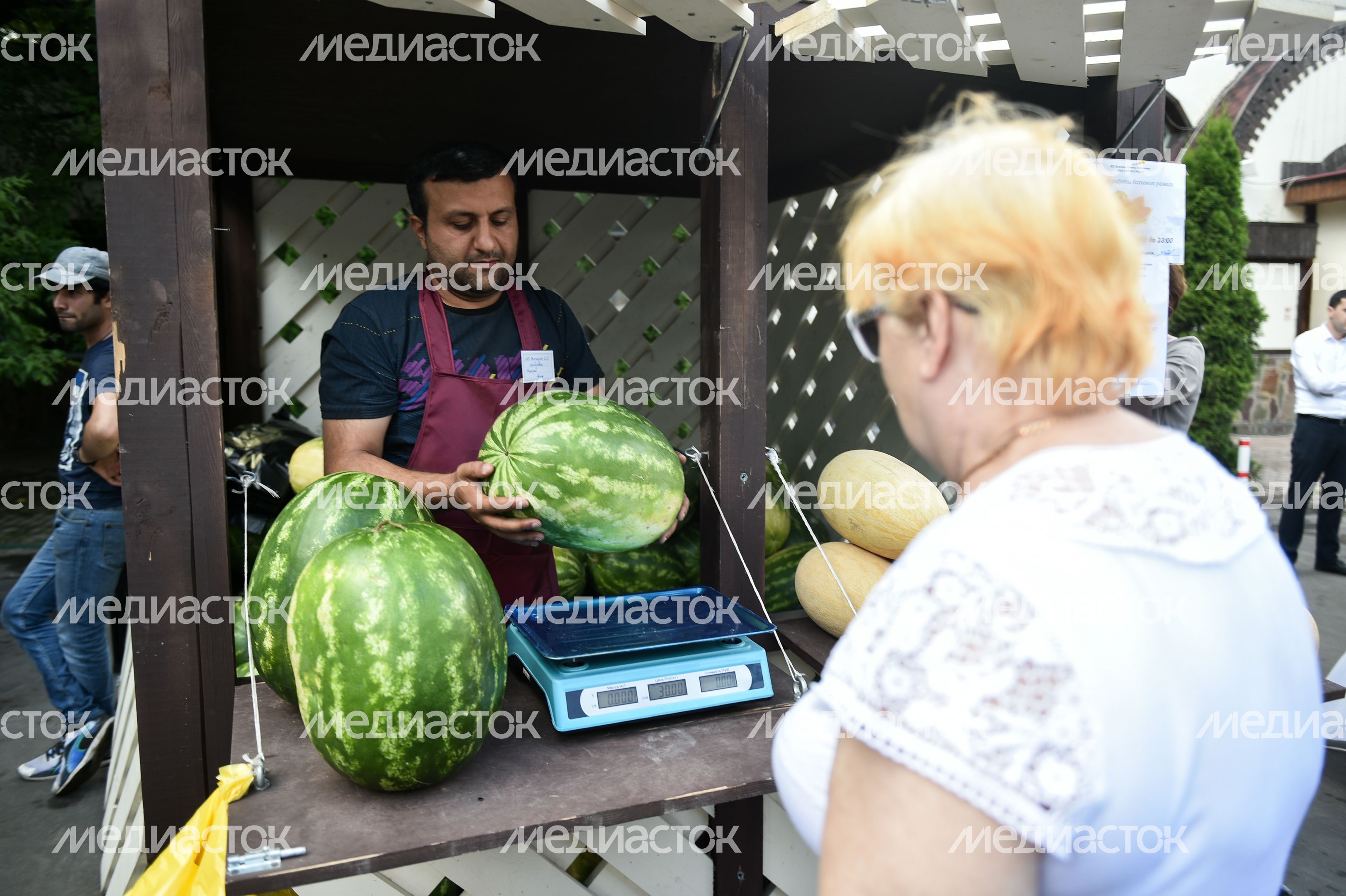 В Москве открыли бахчевой сезон торговли