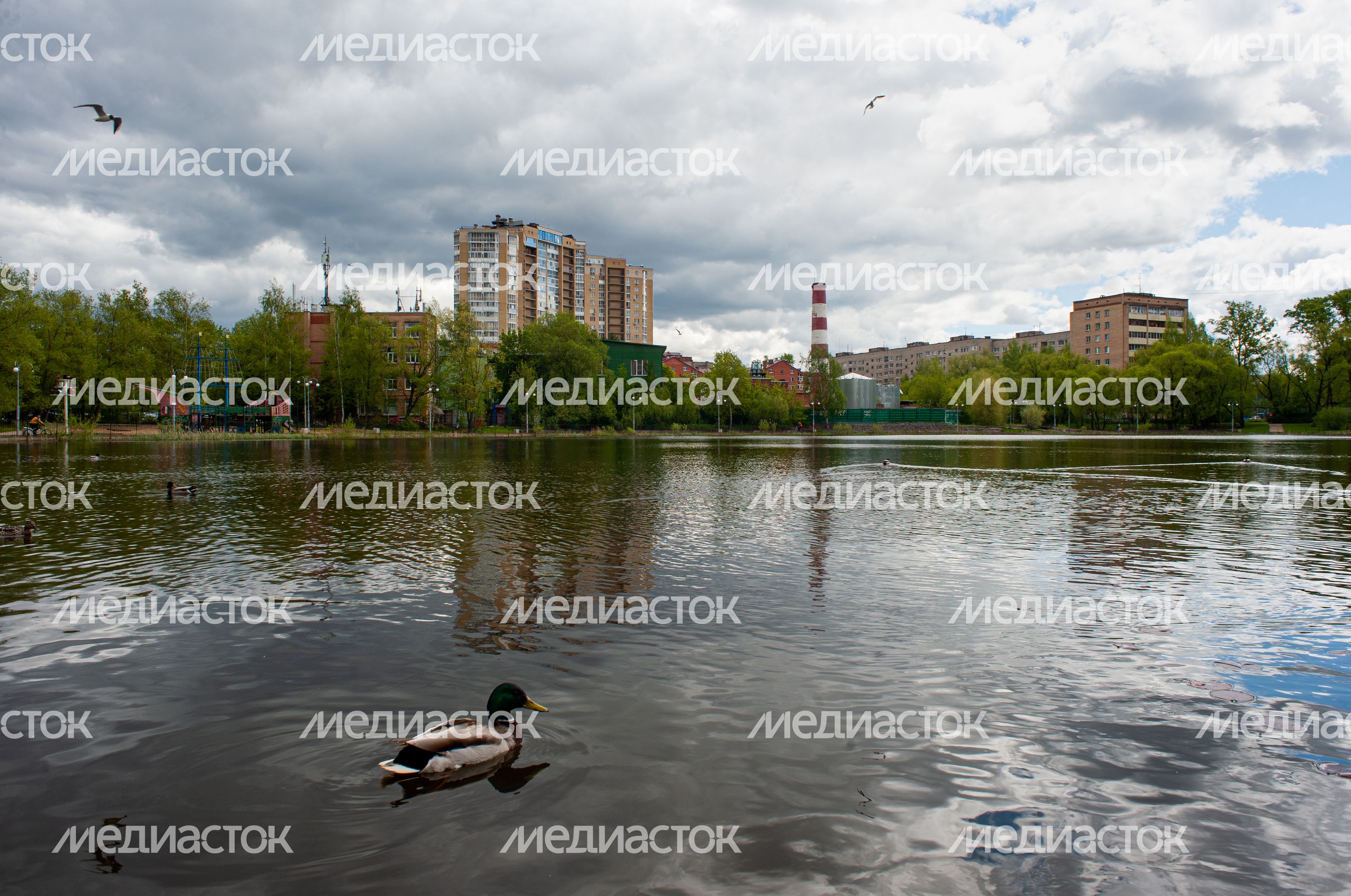 Весенние виды города Пушкино