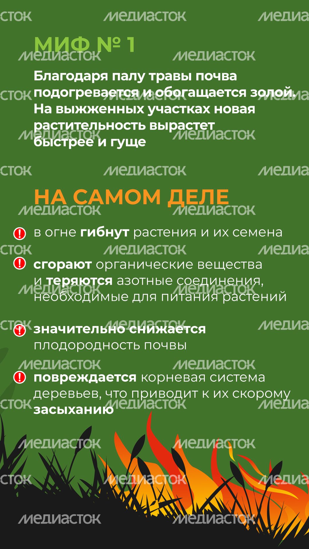 комлесхоз_пал_верт_2.jpg