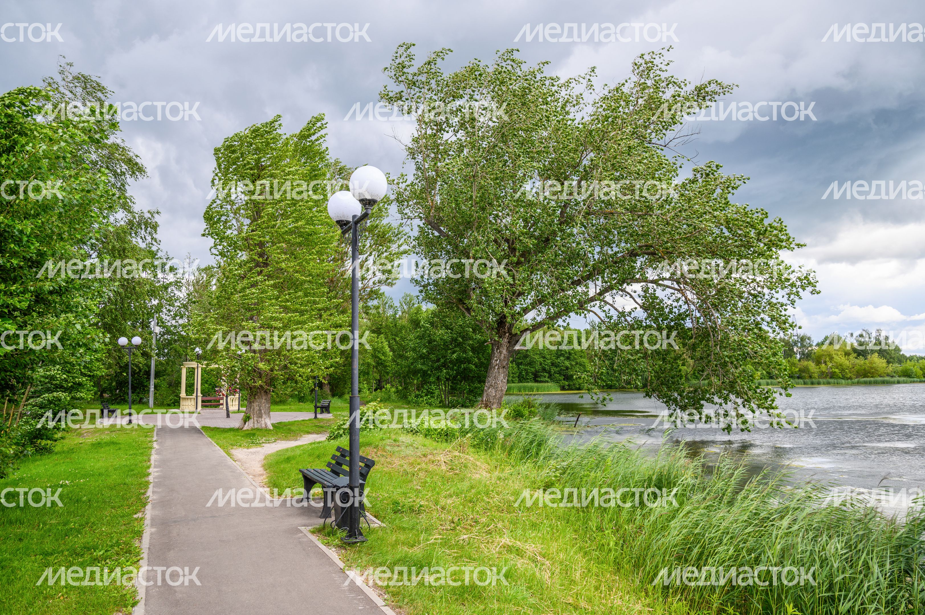 Скульптурная группа «Семья лосей» на улице Калинина города Электрогорск Скульптурная группа «Семья лосей» на улице Калинина города Электрогорск