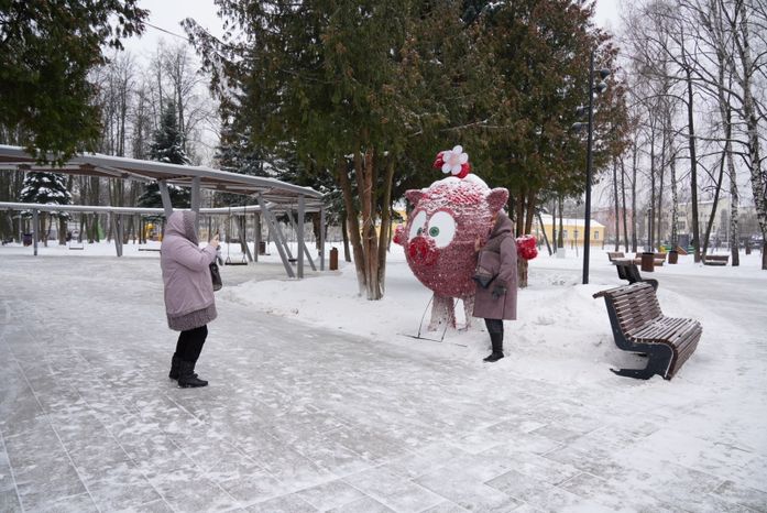 Проверка Губернатором Центрального парка культуры и отдыха в Пушкино
