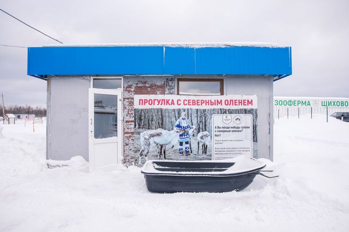 Зооферма "Шихово" в Дмитровском округе зимой