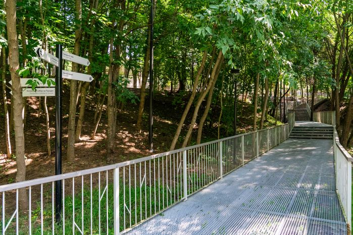 Новая туристическая тропа в Звенигороде – пешеходная зона «Малиновый овраг»