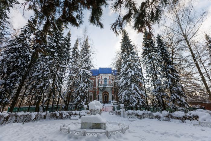 Зима в усадьбе Быково в Раменском