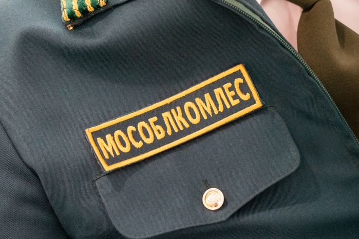 Комитет лесного хозяйства Московской области отметил 12-летие