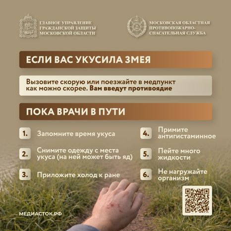 Гадюки квадрат 07