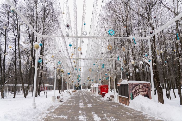 Истринский городской парк зимой