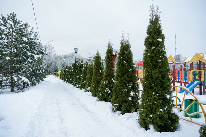 Зимние виды Лосино-Петровского