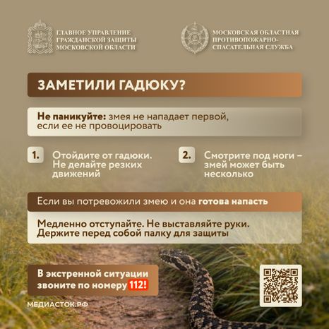 Гадюки квадрат 06